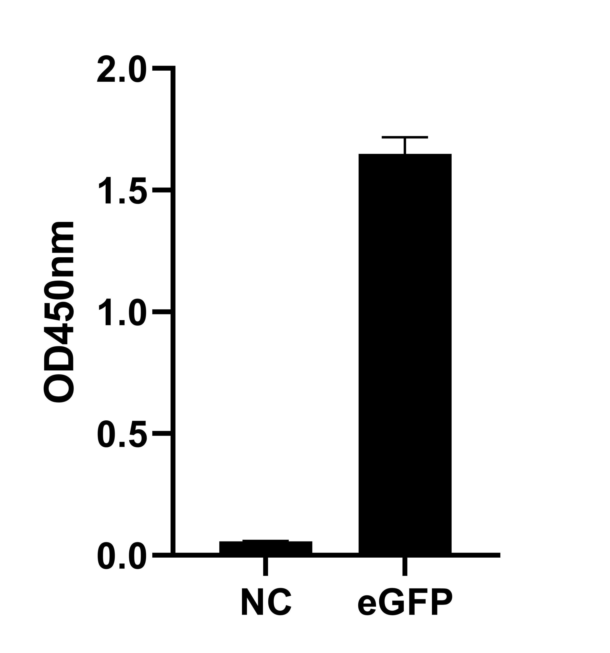 Anti-eGFP Nanobody - NewEast Biosciences - GTPase, Oncogene And ...